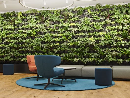 Lounge mit Begrünung
