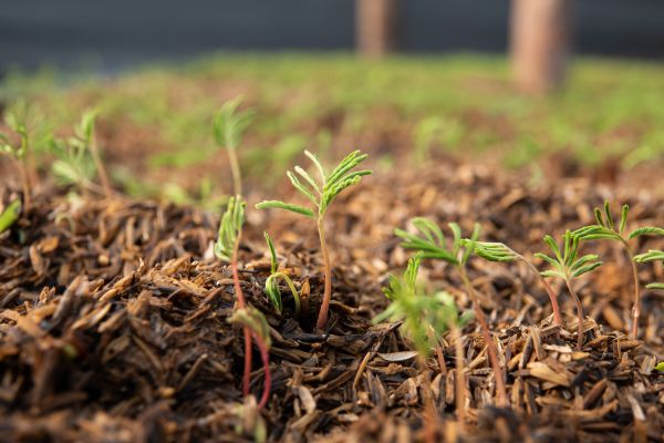 Nachhaltigkeitsbericht