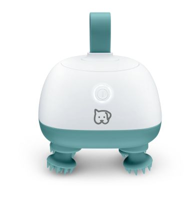 Produktbild des Massagegeräts „Buddy“