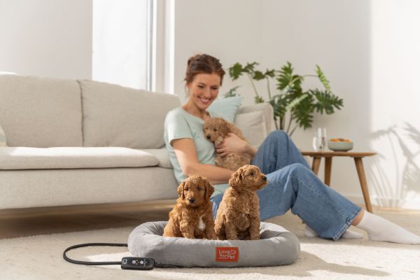 Eine Frau sitzt mit einem Hundewelpen auf dem Schoss in einem Zimmer, im Vordergrund zwei Welpen im Beurer Wärmebett "Kira".