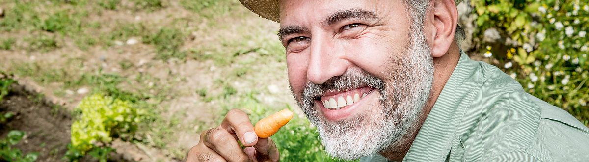 Medidores de glucemia 