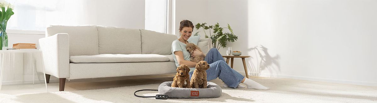 La cama térmica PP 250 de Beurer está en el suelo y dos cachorros están sentados en ella.