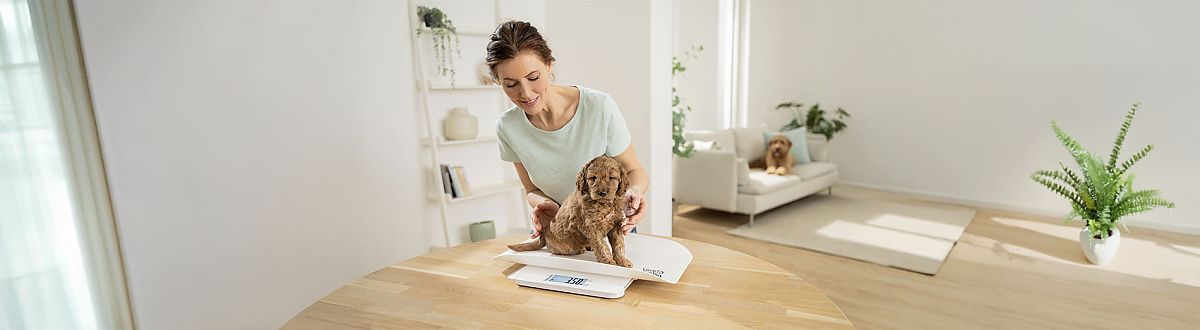 Báscula para animales PP 170 de Beurer.