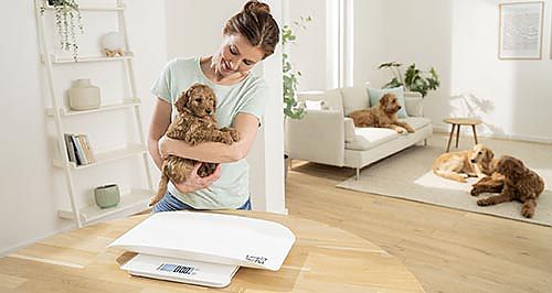 Cachorro sentado en la báscula para animales PP 170 de Beurer