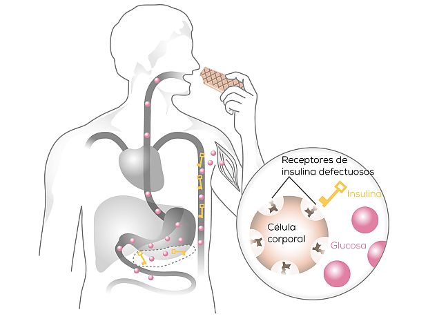 principio-key-lock-defecto