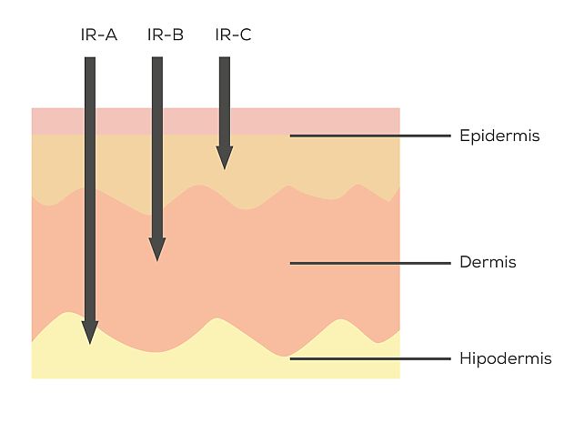 capas de la piel infrarrojos