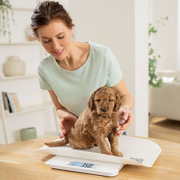 Un cachorro de pelo marrón se coloca sobre la báscula para mascotas PP 170 de Beurer mientras una mujer intenta mantenerlo en su sitio