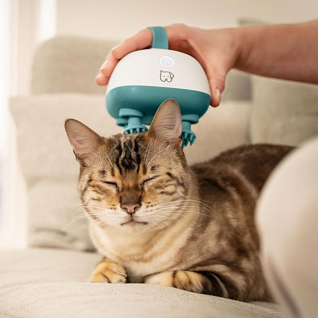 Gato recibiendo un masaje en la cabeza con el masajeador para animales PP 410 de Beurer