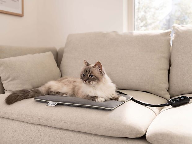 Un gato se tumba en la esterilla calefactora PP 210 de Beurer sobre el sofá