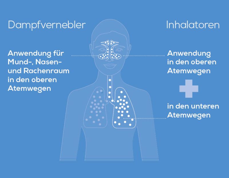 Grafik zu den Anwendungsbereichen: Dampfvernebler für obere Atemwege, Inhalatoren für obere und untere Atemwege