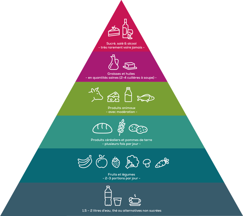 Pyramide alimentaire avec six niveaux allant des boissons aux friandises. Plus on monte, plus la consommation est rarement recommandée