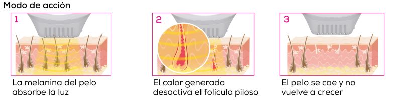 Modo de acción de un dispositivo IPL en tres pasos: La melanina en el cabello absorbe la luz. El calor generado desactiva el folículo piloso. El cabello se cae y no vuelve a crecer