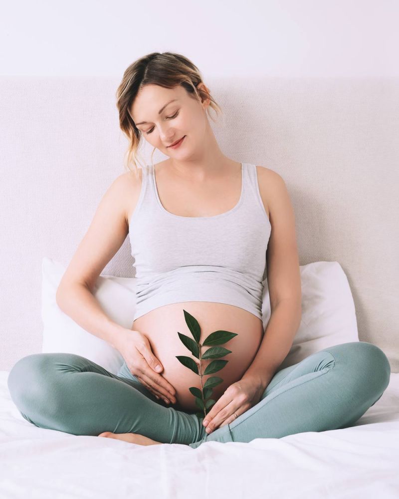 Schwangere Frau sitzt auf einem Bett und hält einen kleinen Ast mit Blättern vor ihren Bauch