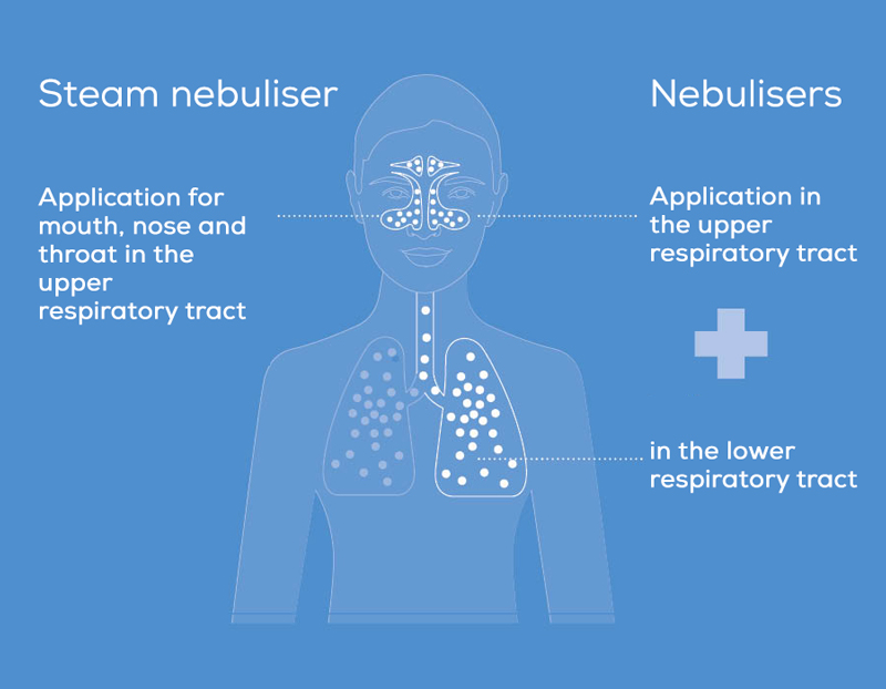 Graphic on the areas of application: steam vaporisers for upper airways, nebulisers for upper and lower airways