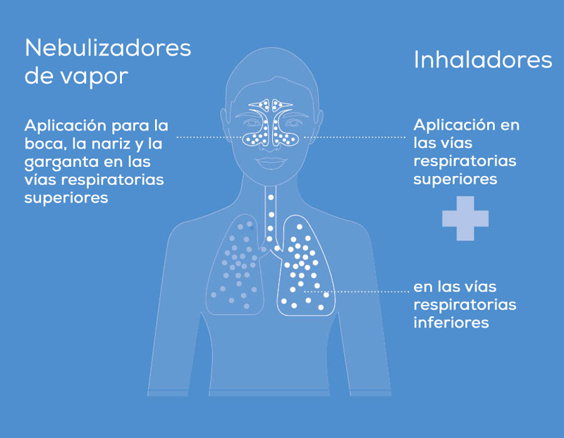 Gráfico: nebulizadores de vapor para las vías respiratorias superiores, inhaladores para las vías superiores e inferiores