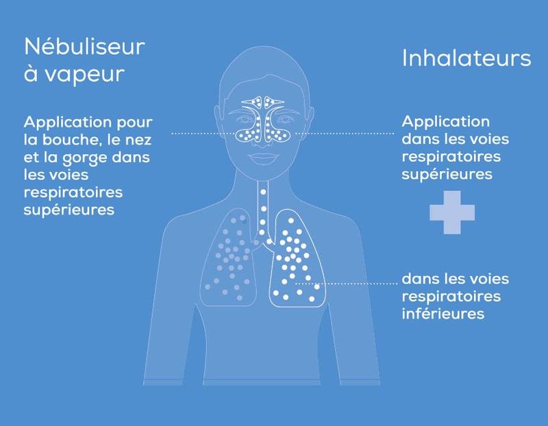 Graphique domaines d'application: Nébuliseur vapeur (voies respiratoires sup.), Inhalateurs (voies respiratoires sup. & inf.)