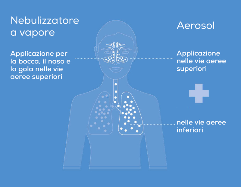 Grafica: nebulizzatore a vapore per le vie respiratorie superiori, aerosol per le vie respiratorie superiori e inferiori