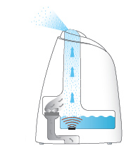 Ultraschallverneblung